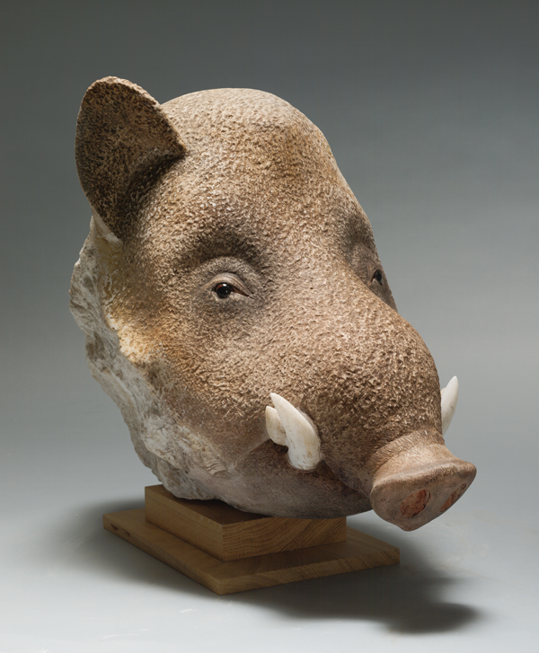Tête de Sanglier